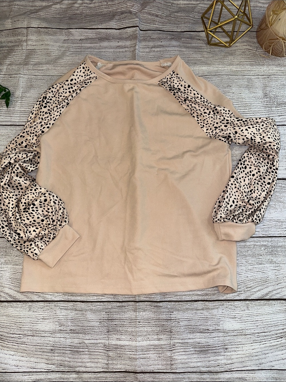 Beige Long-Sleeve Raglan Top with Leopard Print Sleeves